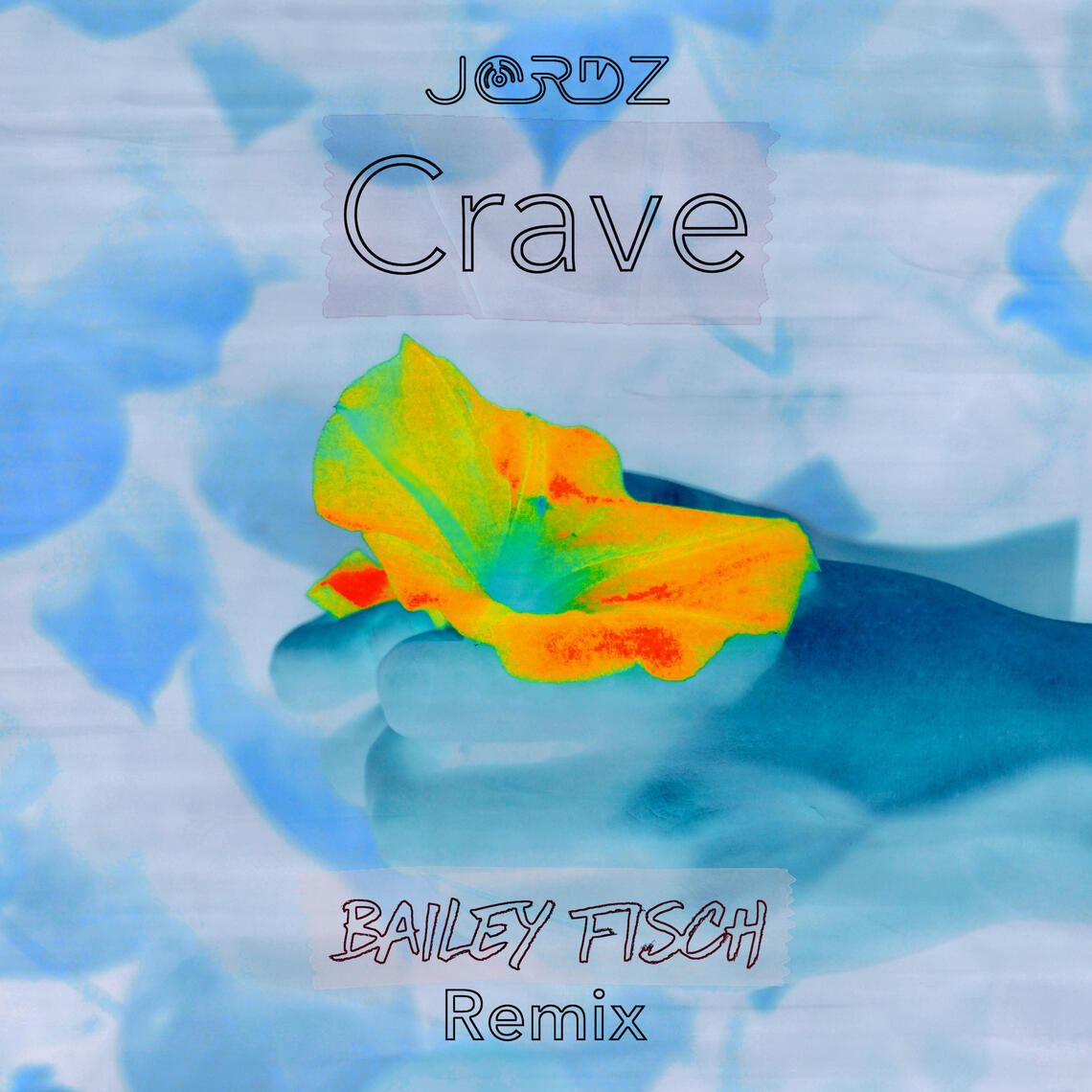 Crave (Bailey Fisch Remix)